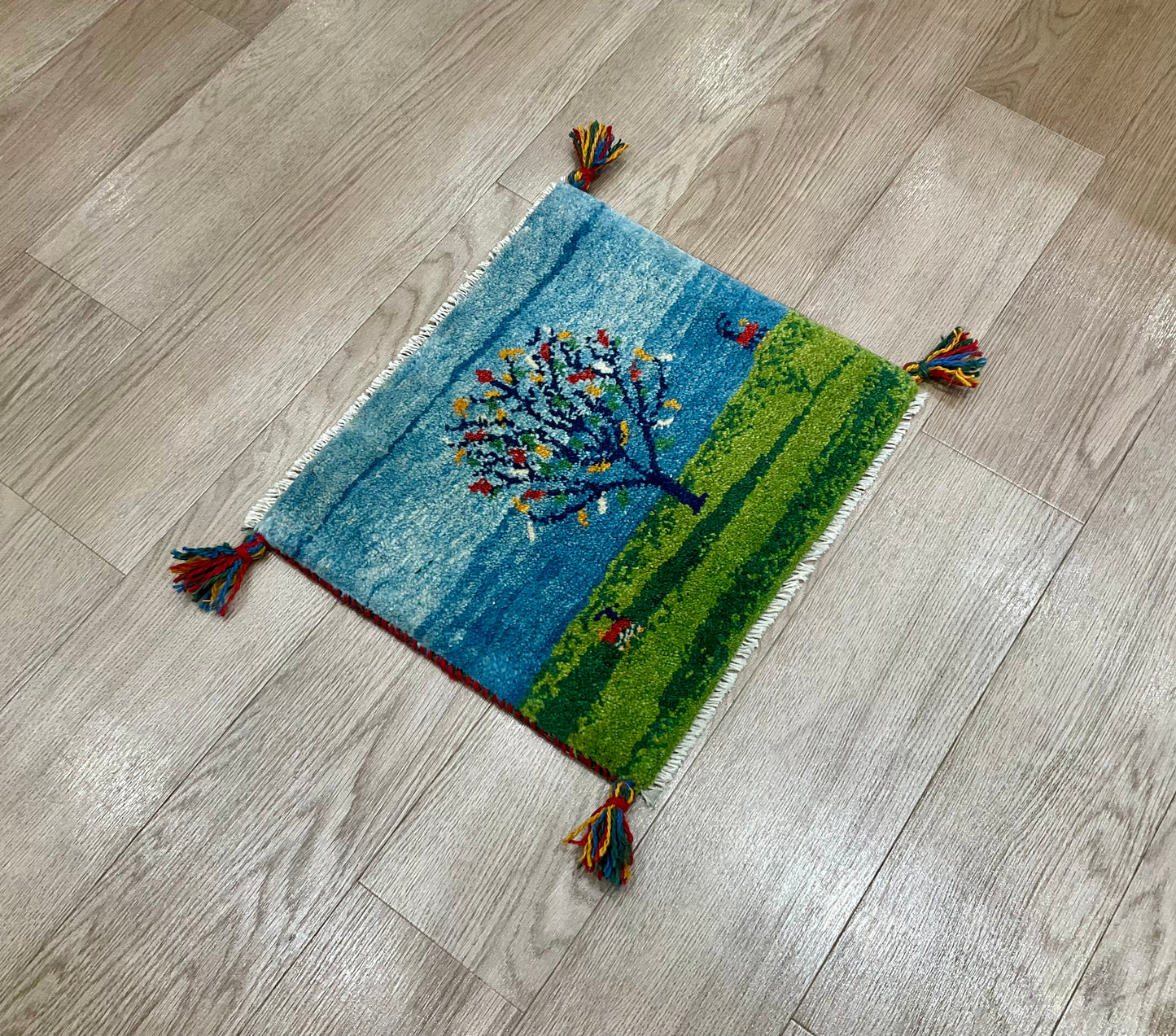 ギャッベ 44cm x 39cm T10000