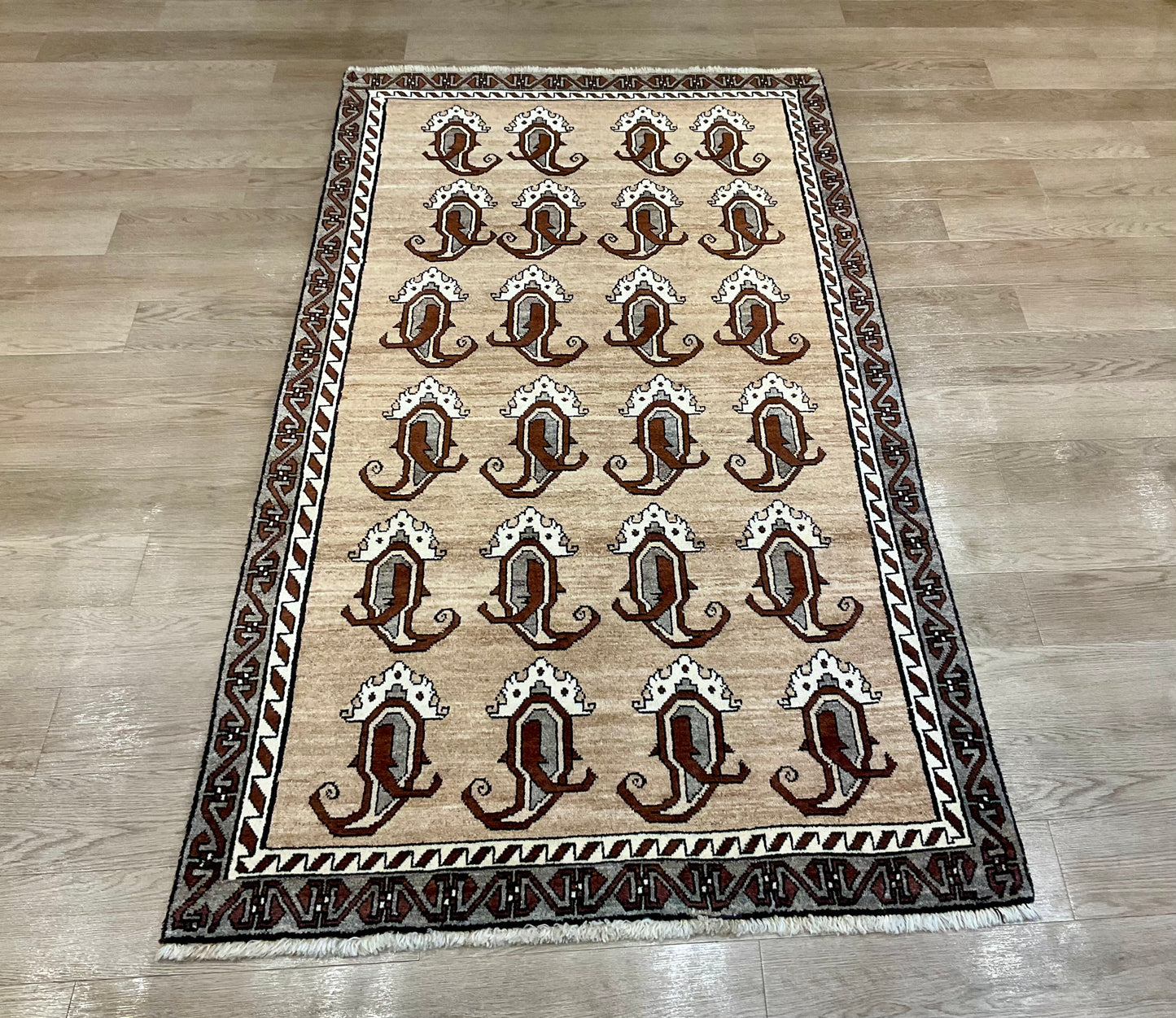 シラーズ 216cm x 120cm NT11200