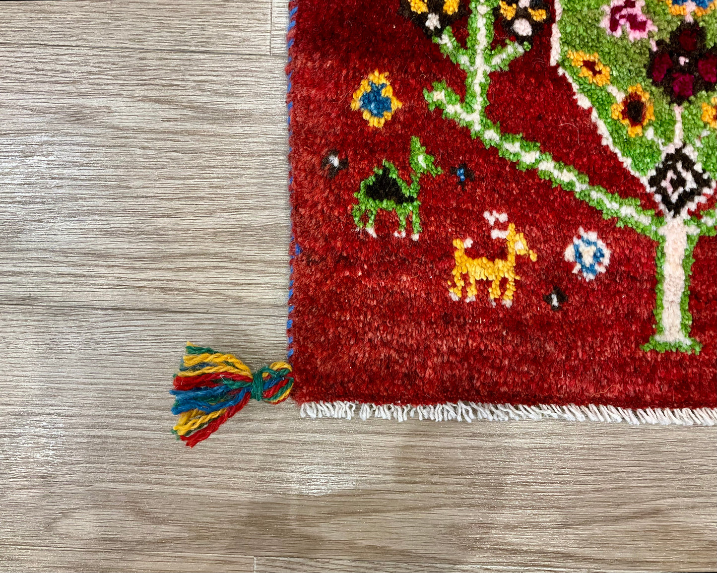 ギャッベ 50cm x 45cm Z2664