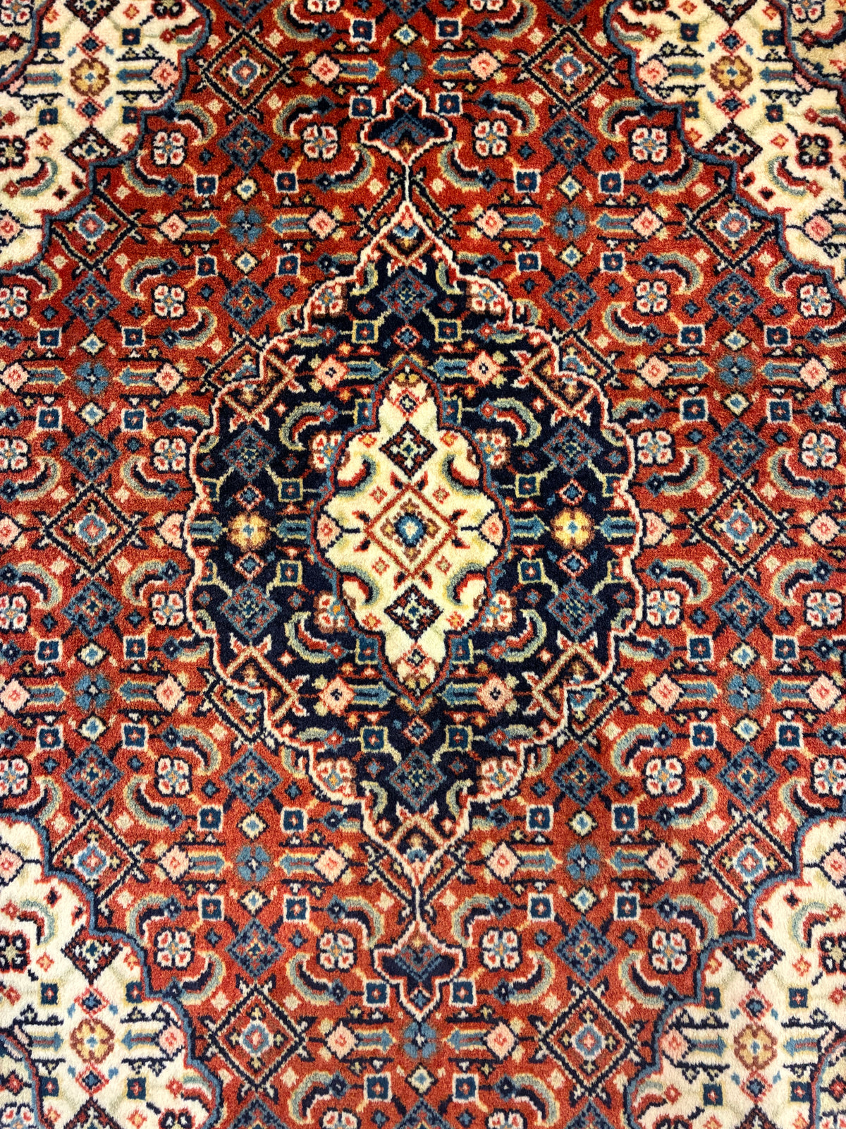 【千葉店】サルーク 77cm x 65cm PS8496