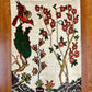 【オンライン限定】ギャッベ 90cm x 63cm RJ13598