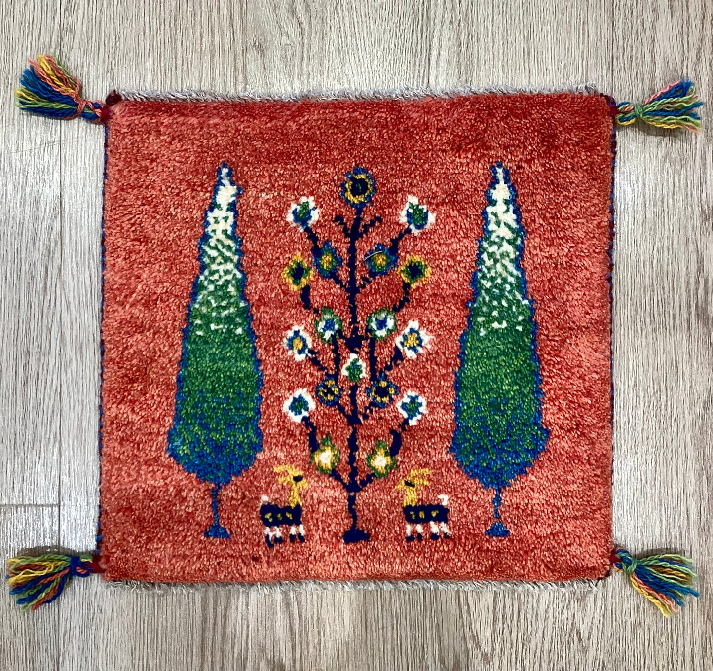 ギャッベ 42cm x 40cm AJ22213