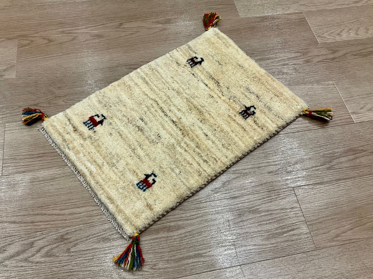 ギャッベ 60cm x 40cm NN17776