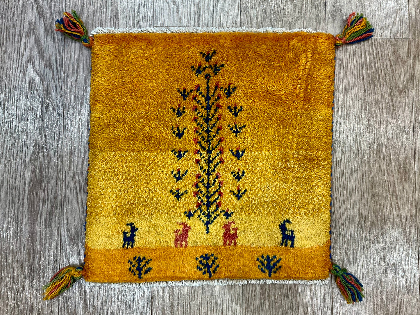 ギャッベ 42cm x 41cm AJ29416