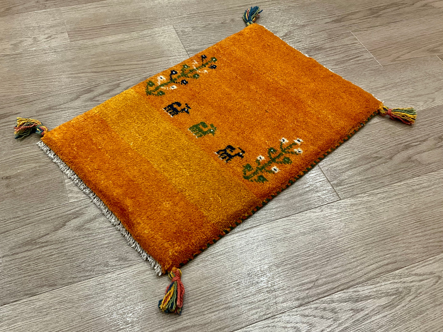 ギャッベ 60cm x 40cm NN18252