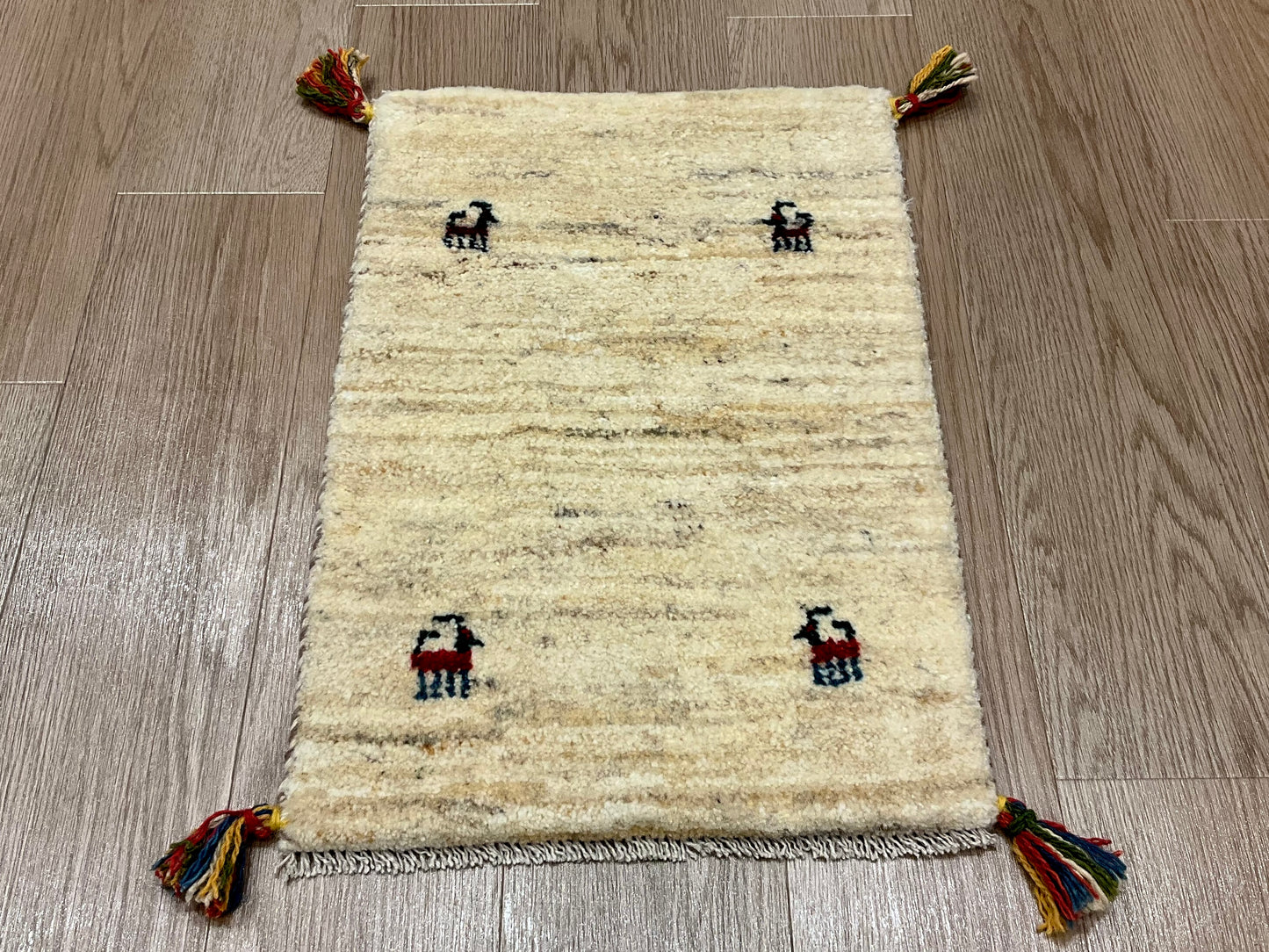 ギャッベ 60cm x 40cm NN17776