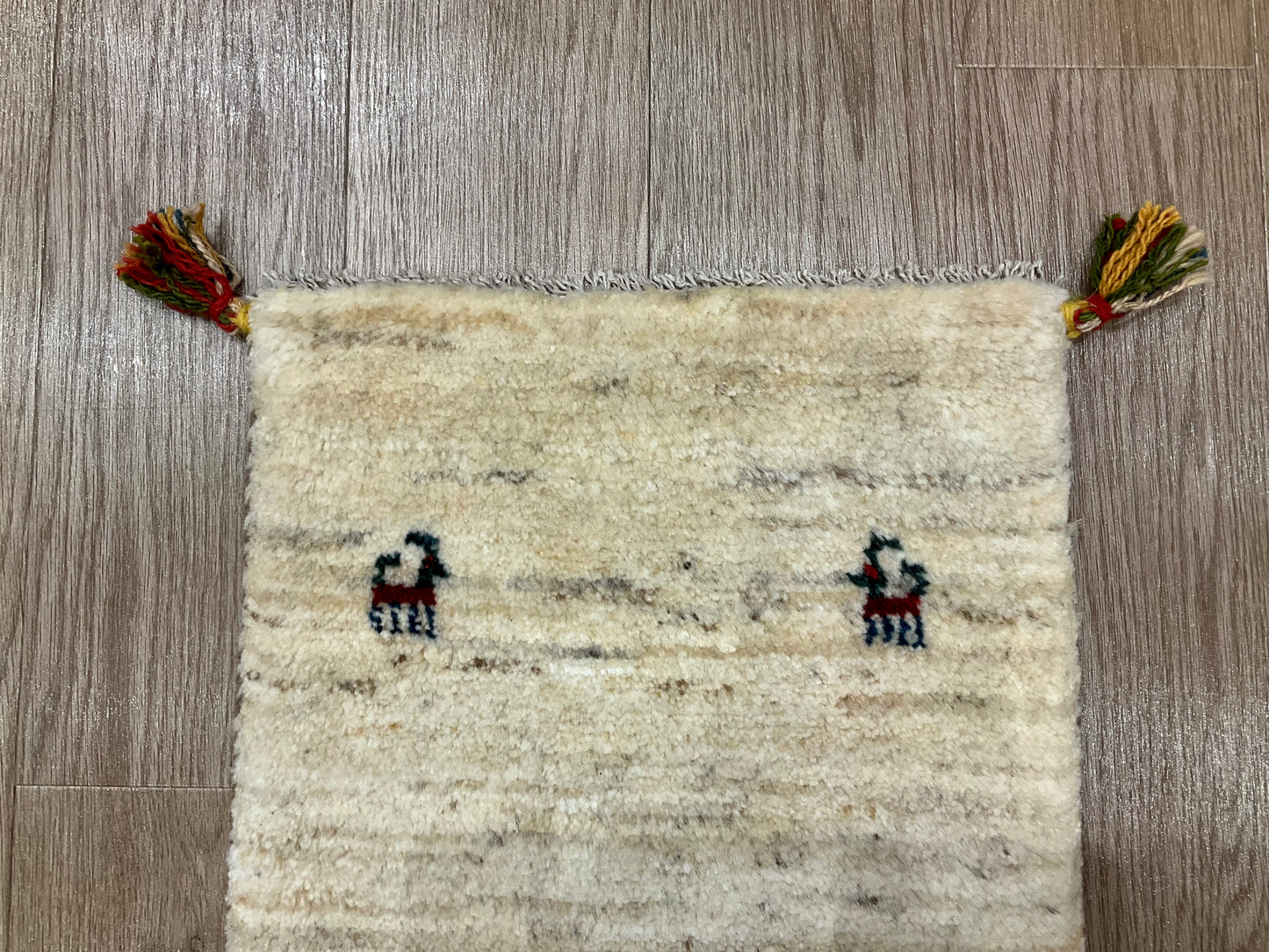 ギャッベ 60cm x 40cm NN17776