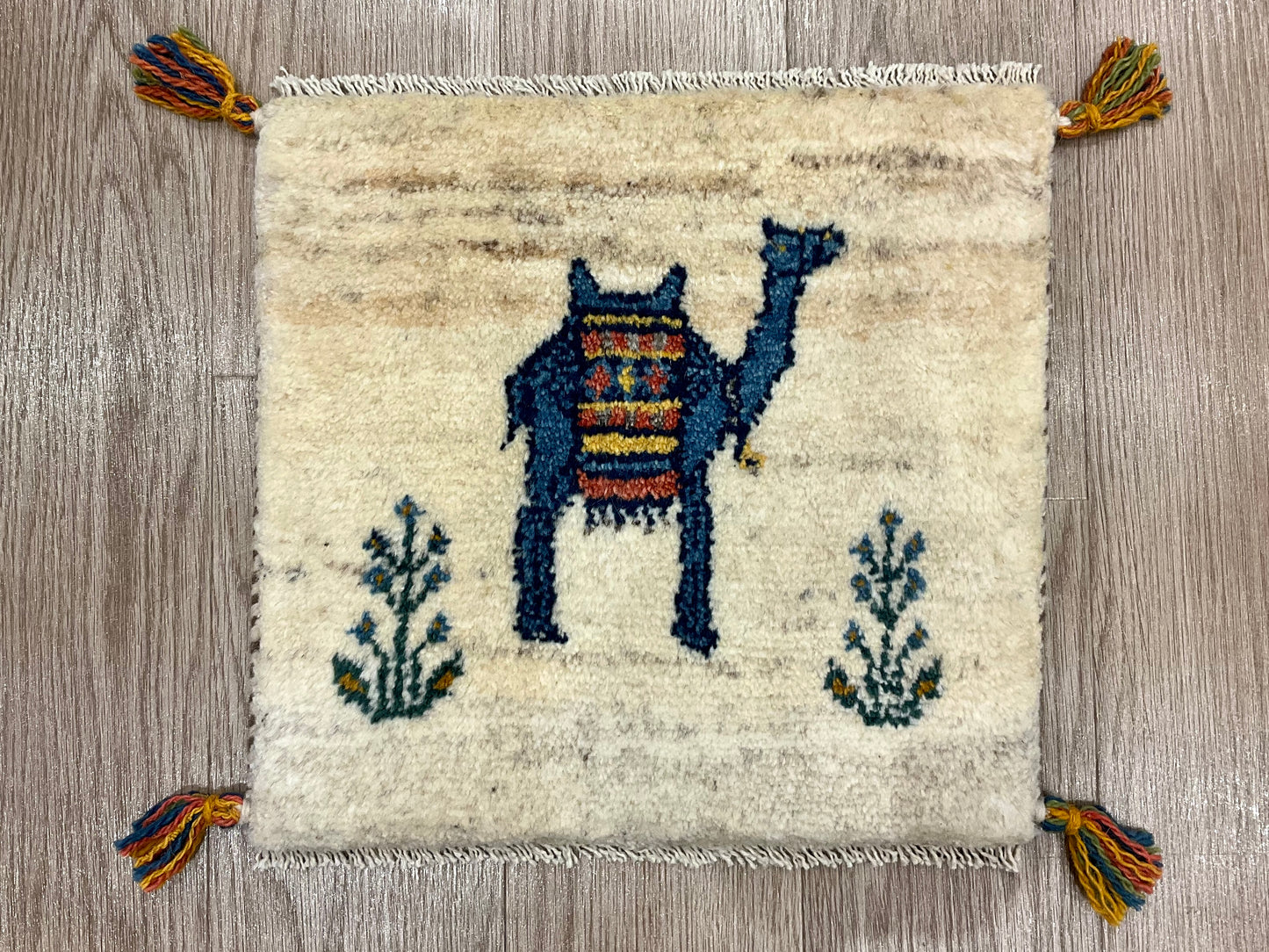 ギャッベ 38cm x 41cm AJ26848